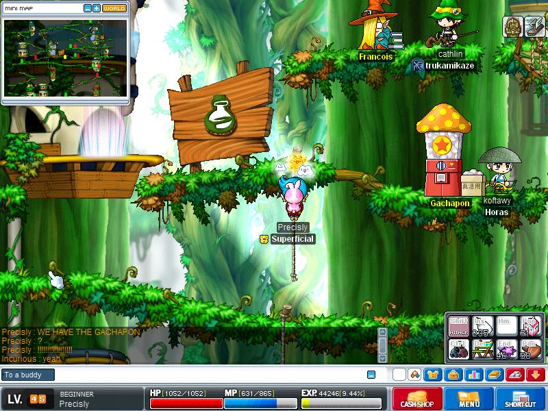 Maple0025