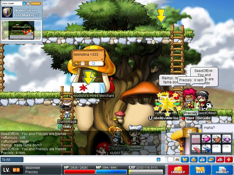 Maple0393