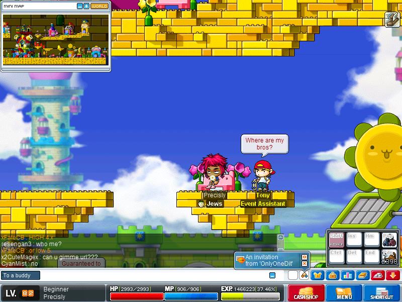Maple1245