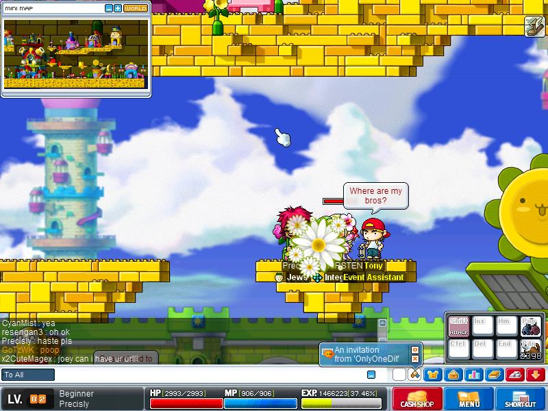 Maple1247