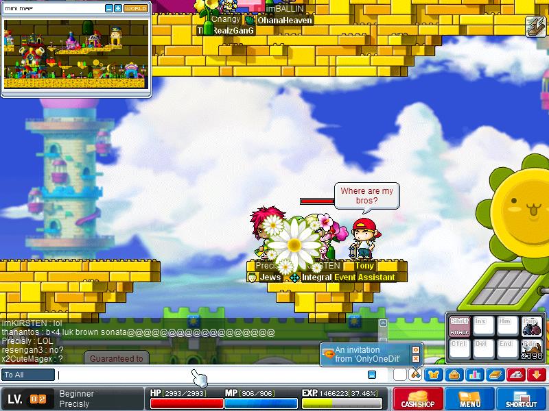 Maple1248