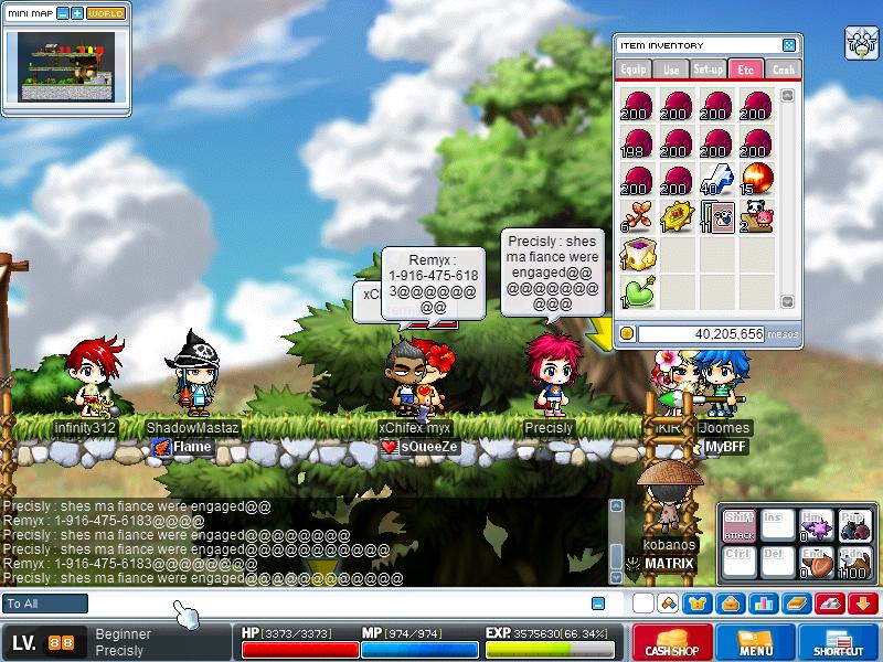 Maple1738