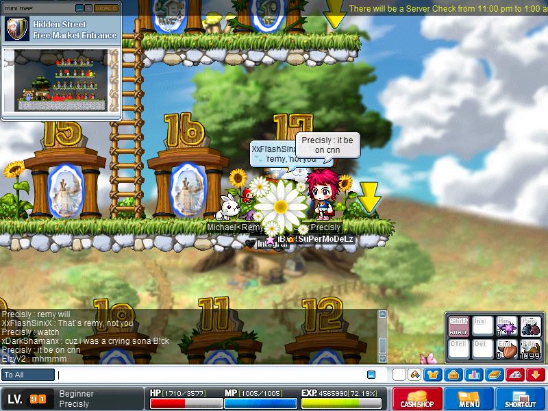 Maple2031