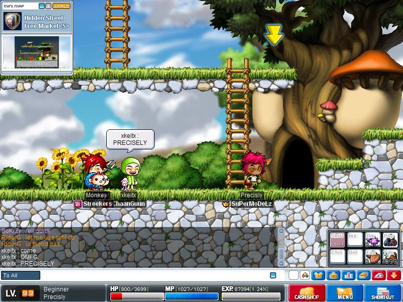 Maple2063