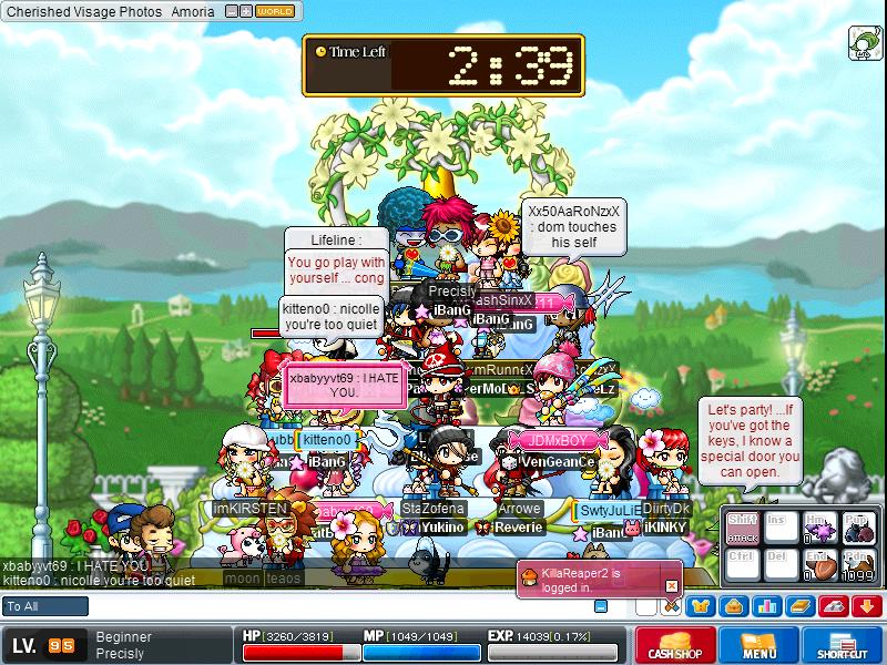 Maple2199