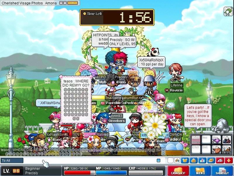 Maple2204