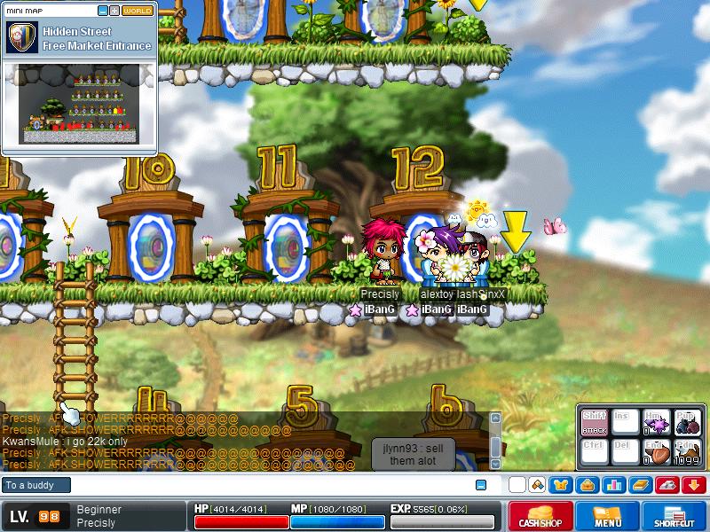 Maple2336