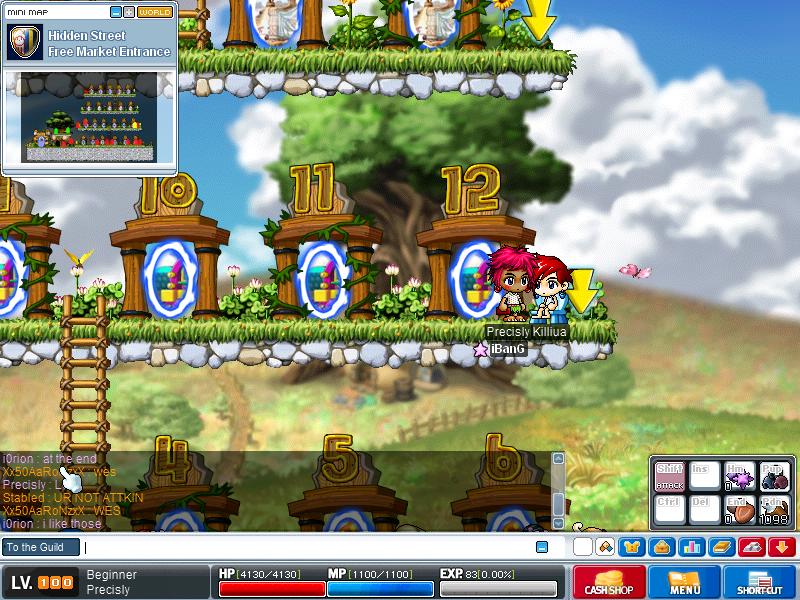 Maple2498