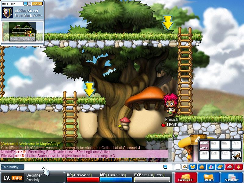 Maple2832