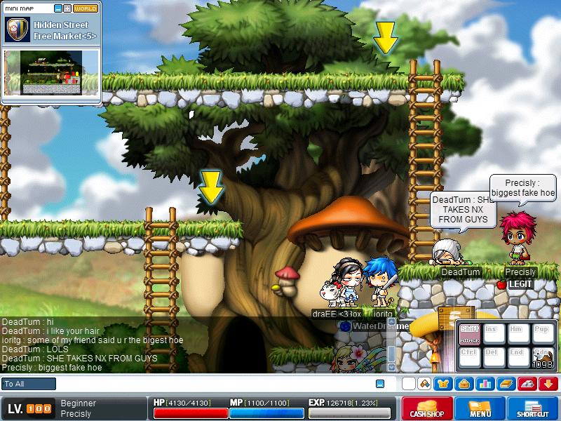 Maple2848