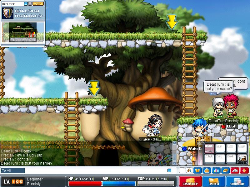 Maple2849