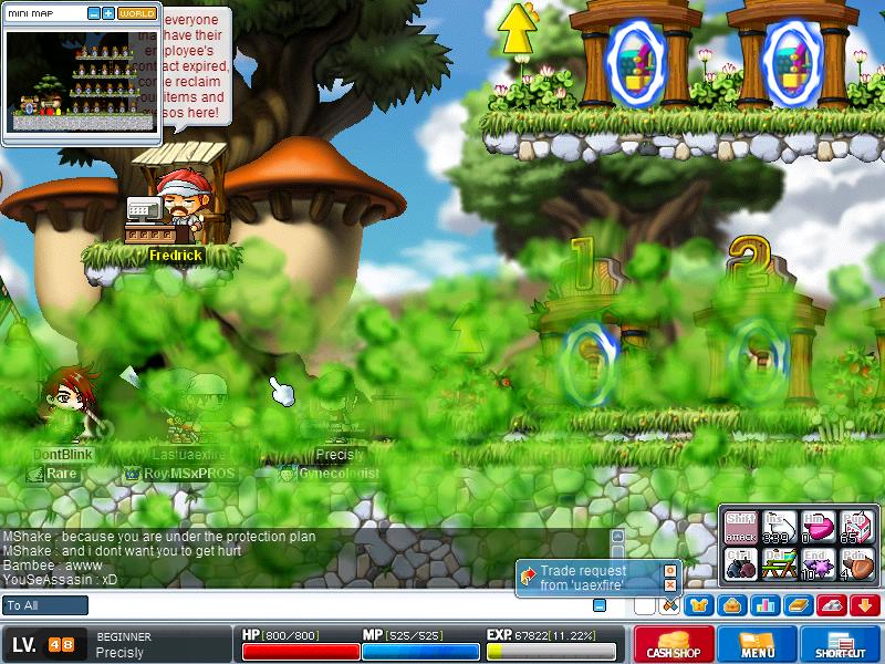 Maple0008