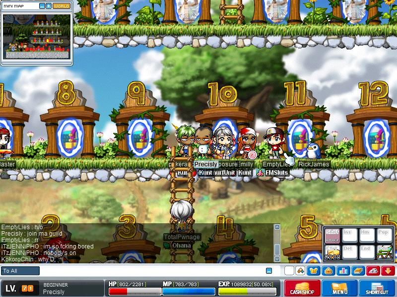 Maple0004